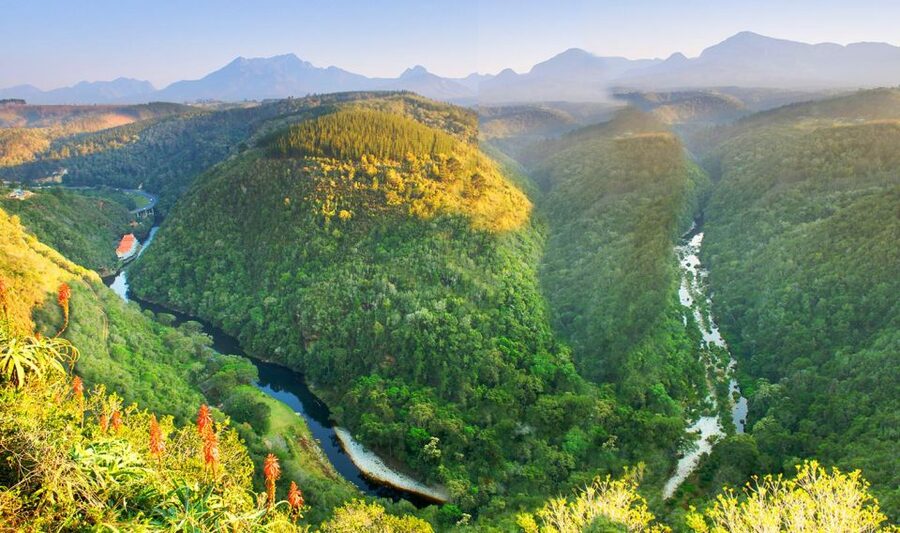 From Cape Town: 5-Day Best of Garden Route and Addo Safari - Day 5: The Botlierskop 4x4 safari