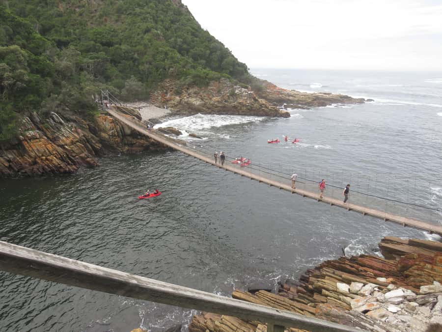 From Cape Town: 5-Day Garden Route & Addo Elephant Park Tour - Who should book this Garden Route tour?