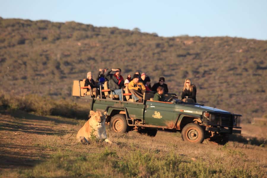 From Cape Town: 5-Day Garden Route & Addo Elephant Park Tour - Day 2: From mountain roads to Knysna Heads