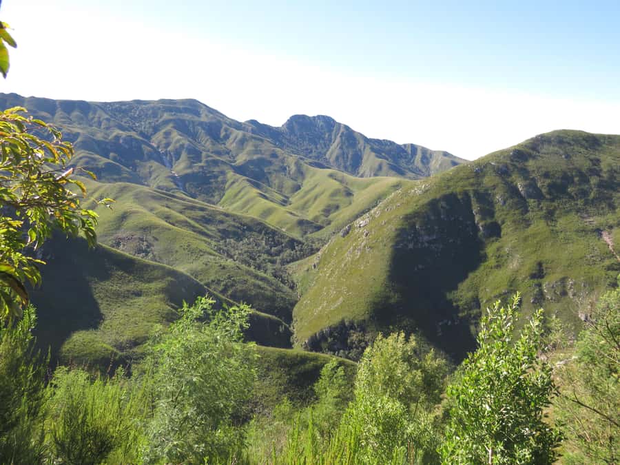 From Cape Town: 5-Day Garden Route & Addo Elephant Park Tour - Day 3: Tsitsikamma’s coast and the Addo choice