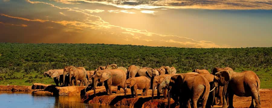 From Cape Town: 5-Day Garden Route & Addo Elephant Park Tour - Day 1: Little Karoo, Ronnie’s, and Oudtshoorn