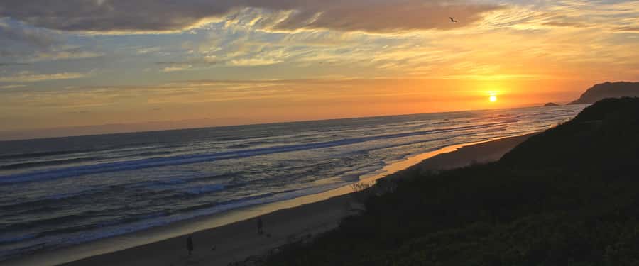 From Cape Town: 7-Day Garden Route, Addo and Winelands Combo - The five parts that make this trip distinctive