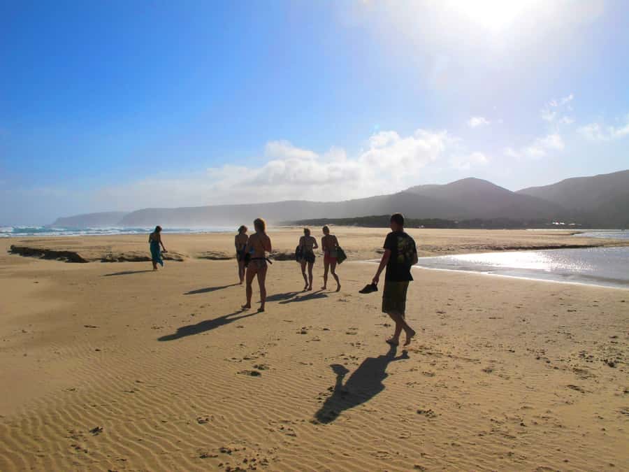 From Cape Town: 7-Day Garden Route, Addo and Winelands Combo - Guides, vehicles, and the human side of the trip