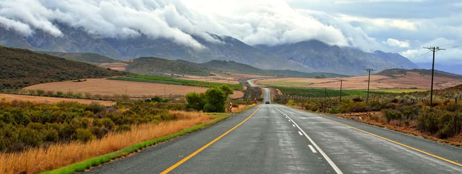 From Cape Town: 7-Day Garden Route, Addo and Winelands Combo - Day 1: Wine farms, the Wine Tram, and Franschhoek