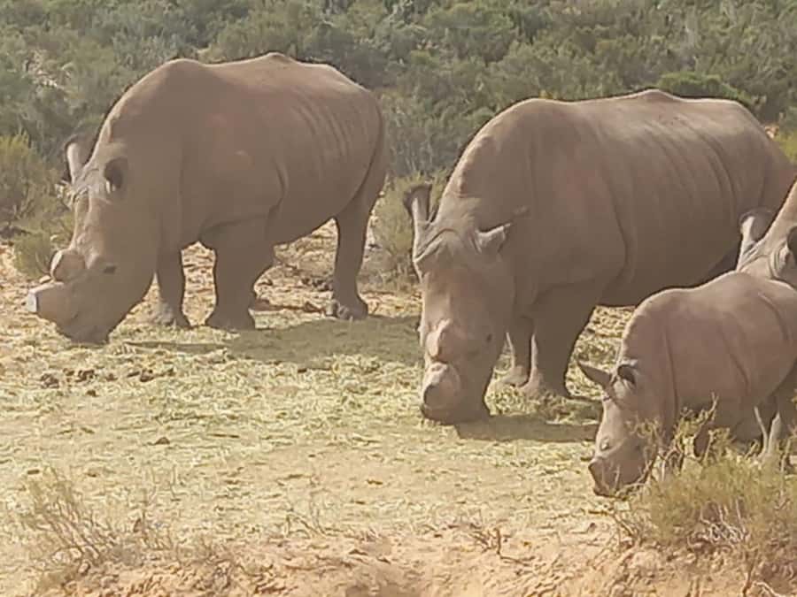 From Cape Town: Aquila Game Reserve Sunset Game Drive - The road inland from Cape Town