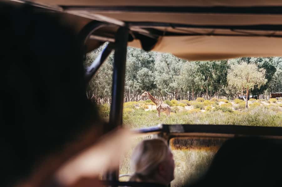 From Cape Town: Big Five Game Reserve with Lunch - What the long day feels like