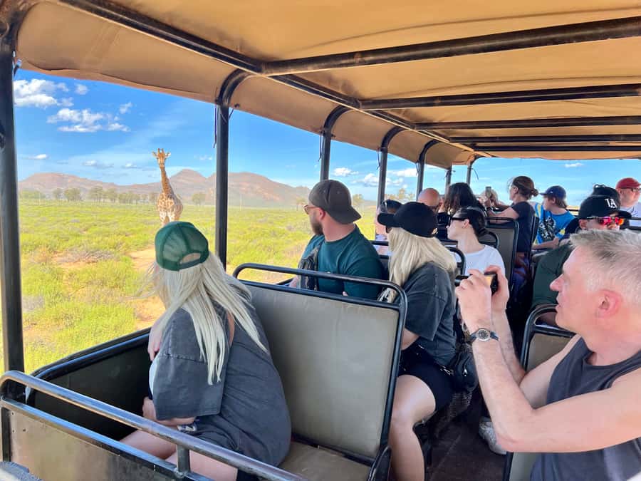 From Cape Town: Big Five Safari Experience with Lunch - Is $137 a fair price?