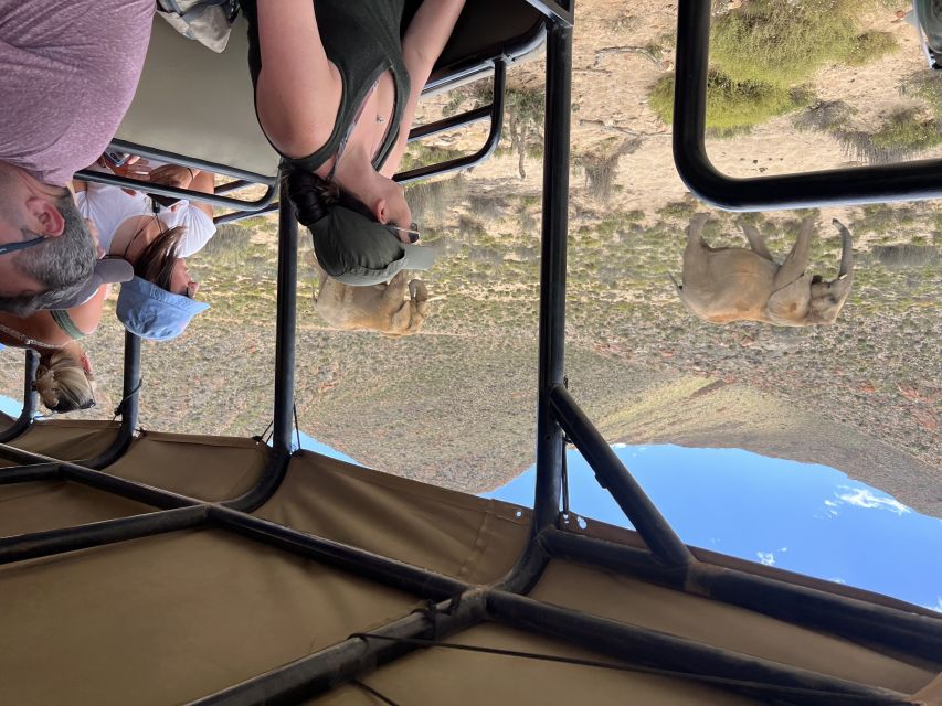 From Cape Town: Big Five Safari Experience with Lunch - Who should book this day trip?