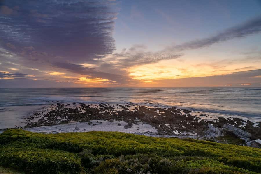 From Cape Town: Cape Agulhas, Penguins, Wine Tasting Tour - Wine tasting in the Hemel-en-Aarde region
