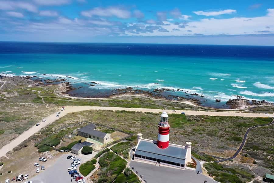 From Cape Town: Cape Agulhas, Penguins, Wine Tasting Tour - Hermanus gives you lunch and a coastal walk