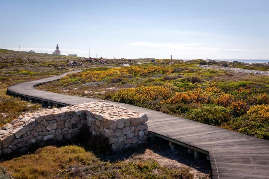 From Cape Town: Cape Agulhas, Penguins, Wine Tasting Tour - The return route keeps the scenery changing