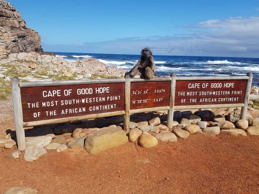 From Cape Town: Cape Point and Boulders Beach Full-Day Tour - The Cape of Good Hope and the famous sign
