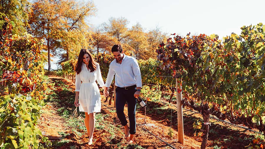 From Cape Town: Cape Winelands Full-Day Private Tour - DeMorgenzon and the first taste of Chenin Blanc