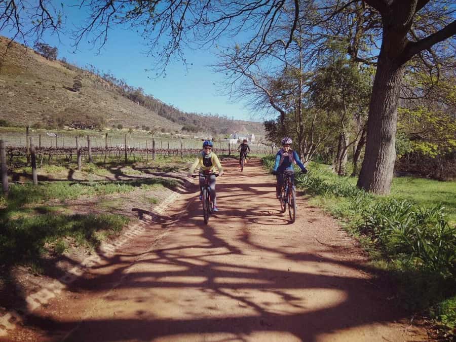 From Cape Town: Franschhoek Vineyards Bike Tour with Lunch - Starting in Franschhoek, not just passing through