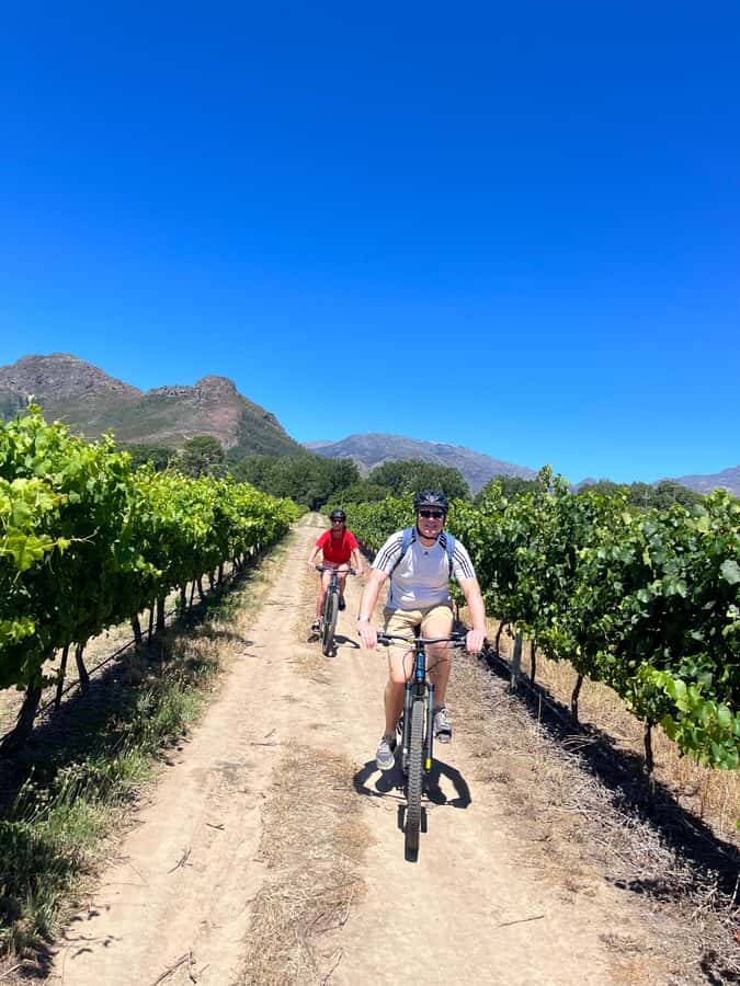 From Cape Town: Franschhoek Vineyards Bike Tour with Lunch - The Huguenot Memorial and the first vineyard roads