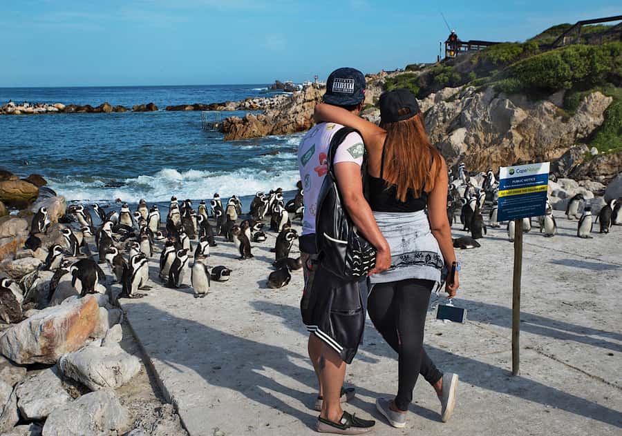 From Cape Town: Full-Day Cape Agulhas Private Tour - Cape Agulhas is the day’s main event