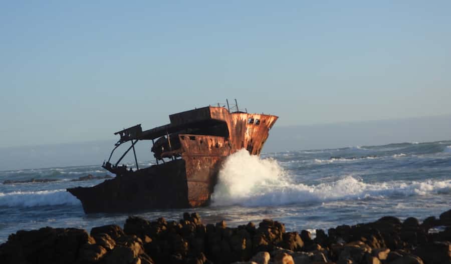 From Cape Town: Full-Day Cape Agulhas Private Tour - Penguins at Stony Point, with a possible route change
