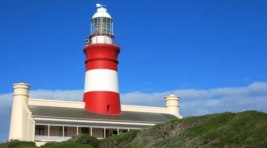 From Cape Town: Full-Day Cape Agulhas Private Tour - Why the private format matters on a ten-hour day