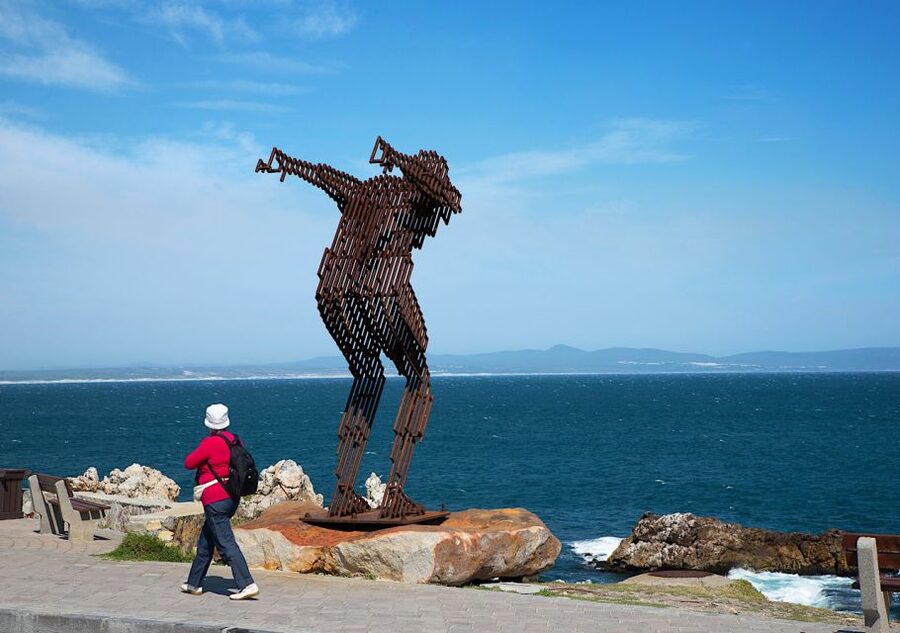 From Cape Town: Full-Day Cape Agulhas Private Tour - The drive is part of the experience