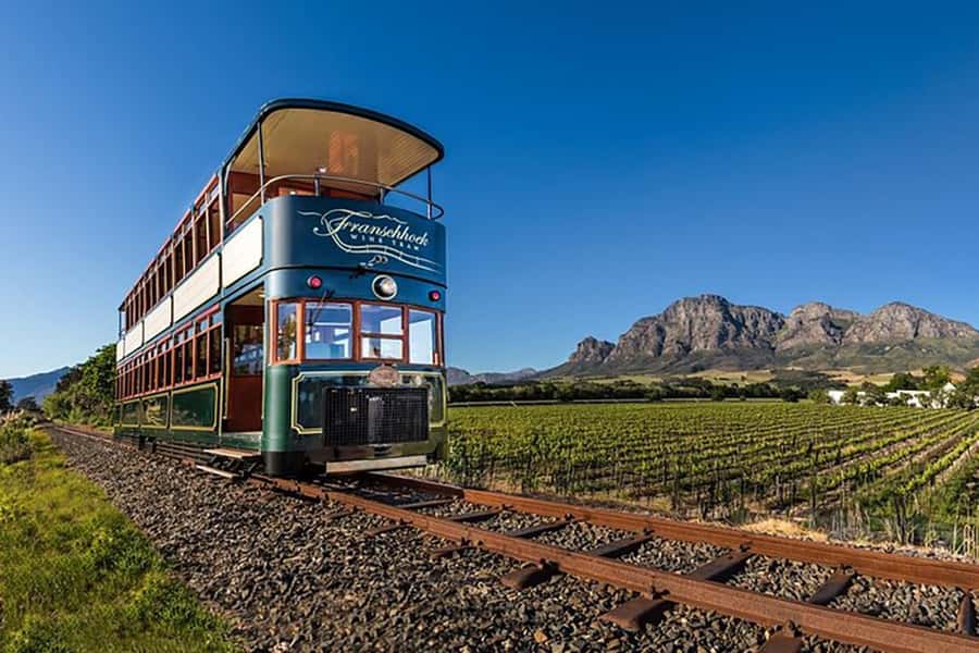 From Cape Town: Full-Day Cape Winelands Taste Tour + Tram - A full day across Stellenbosch, Paarl, and Franschhoek