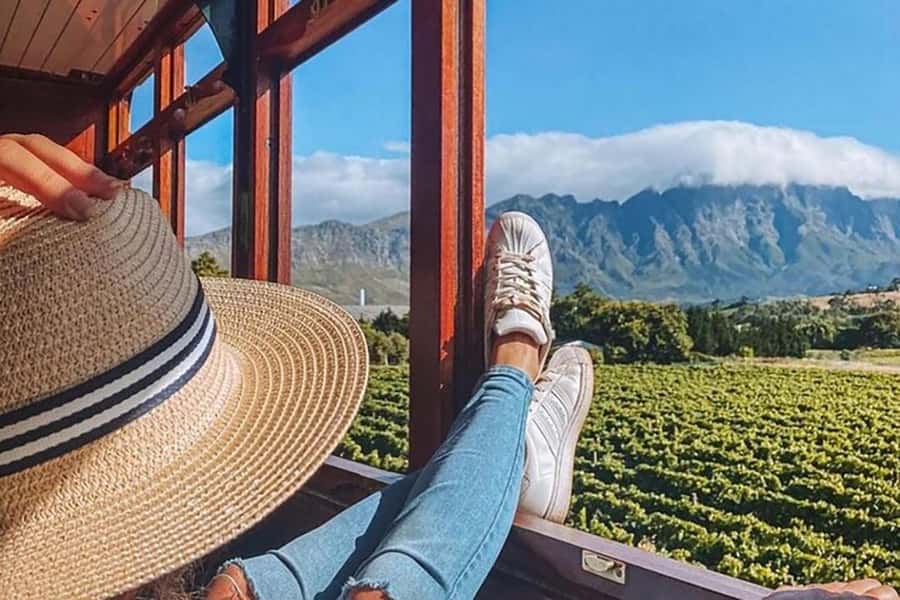 From Cape Town: Full-Day Cape Winelands Taste Tour + Tram - The Franschhoek Wine Tram adds movement and scenery
