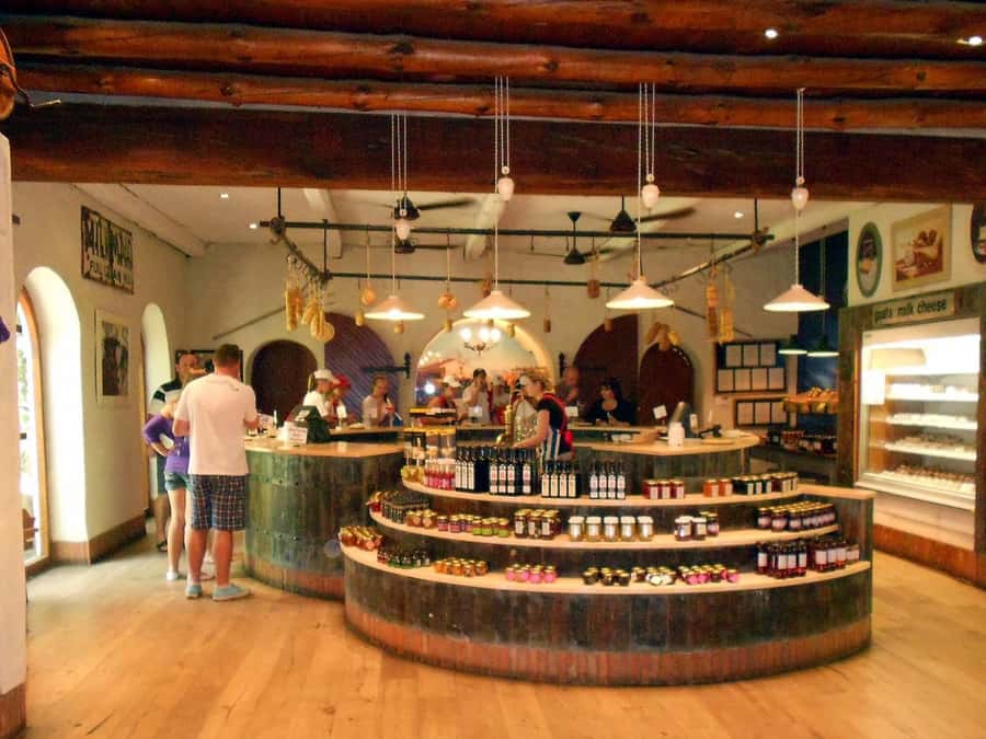 From Cape Town: Full-Day Cape Winelands Taste Tour + Tram - Practical advice for the day