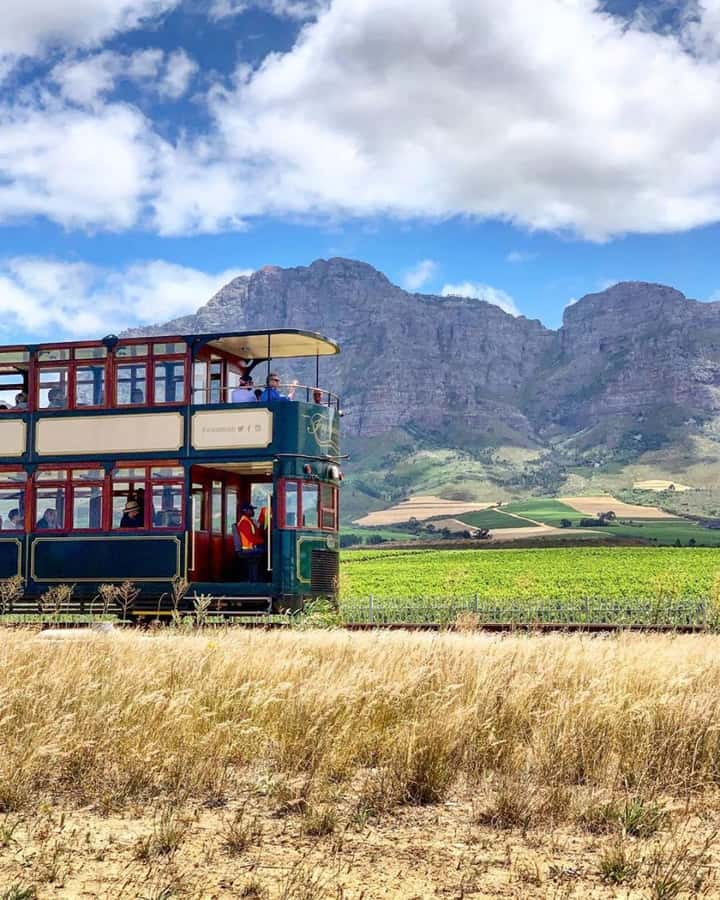 From Cape Town: Full-Day Cape Winelands Taste Tour + Tram - Who will enjoy this Cape Winelands tour most