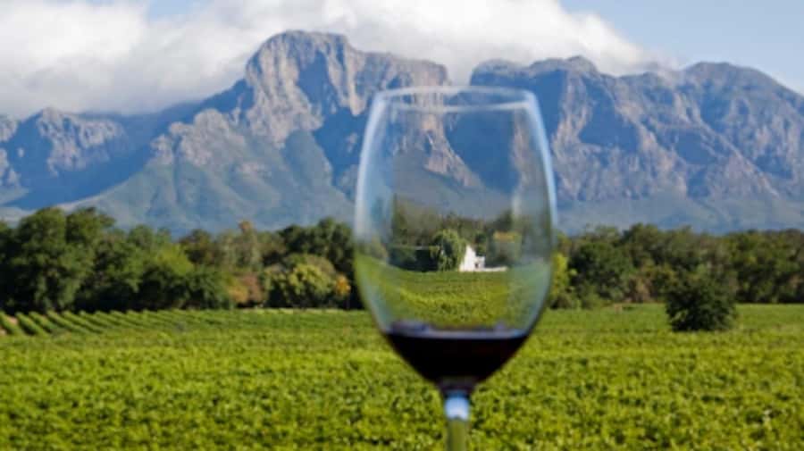 From Cape Town: Full-Day Cape Winelands Taste Tour + Tram - Should you book it?