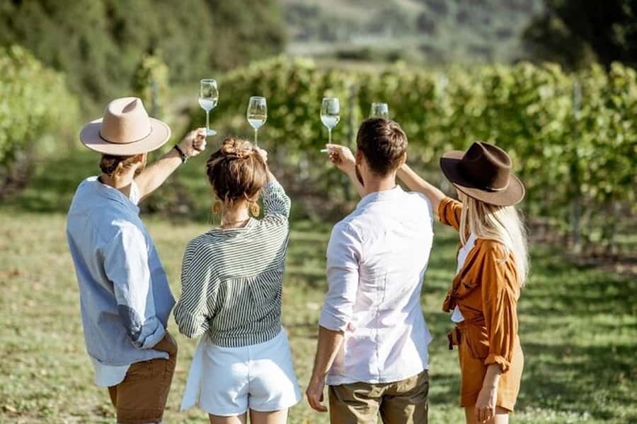From Cape Town: Full-Day Cape Winelands Taste Tour + Tram - Fairview brings cheese into the first tasting