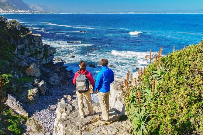 From Cape Town: Full Day Guided Hermanus and Whale Tour - Gordon’s Bay and the 1950s Pitstop