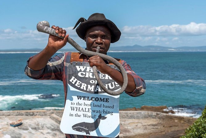 From Cape Town: Full Day Guided Hermanus and Whale Tour - Rotary Way and the first great view of Hermanus