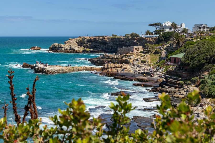 From Cape Town: Full Day Hermanus Whale Watching Tour - Cape Town pickup in a small minibus
