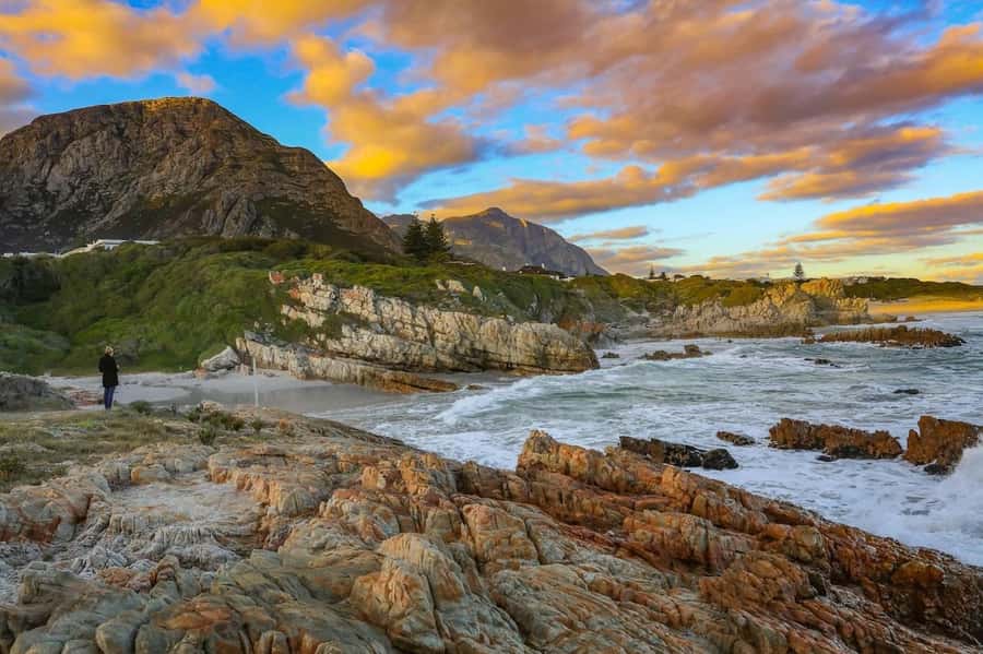 From Cape Town: Full Day Hermanus Whale Watching Tour - Timing, comfort, and small practical details