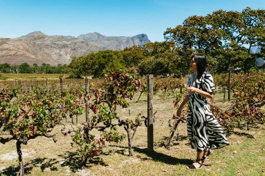 From Cape Town: Full Day Winelands Tour with wine tastings - Key points to know before booking