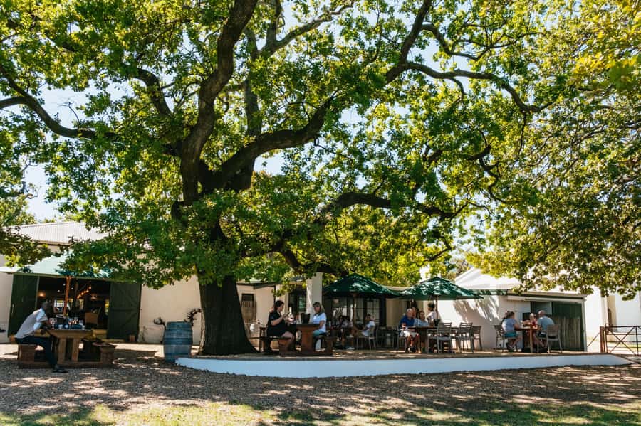 From Cape Town: Full Day Winelands Tour with wine tastings - The day begins with Cape Town pickup and a long valley drive