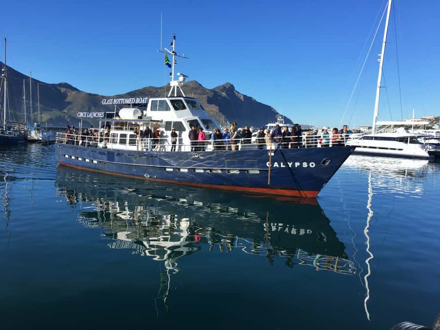 From Cape Town: Glass-Bottom Boat Seal Watching Tour - Hout Bay Harbour is the starting point