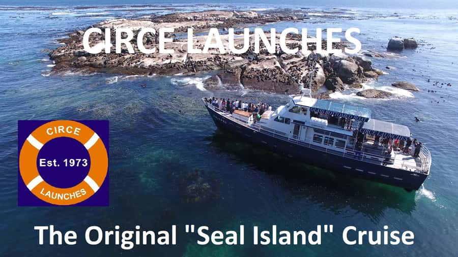 From Cape Town: Glass-Bottom Boat Seal Watching Tour - What the glass bottom really offers
