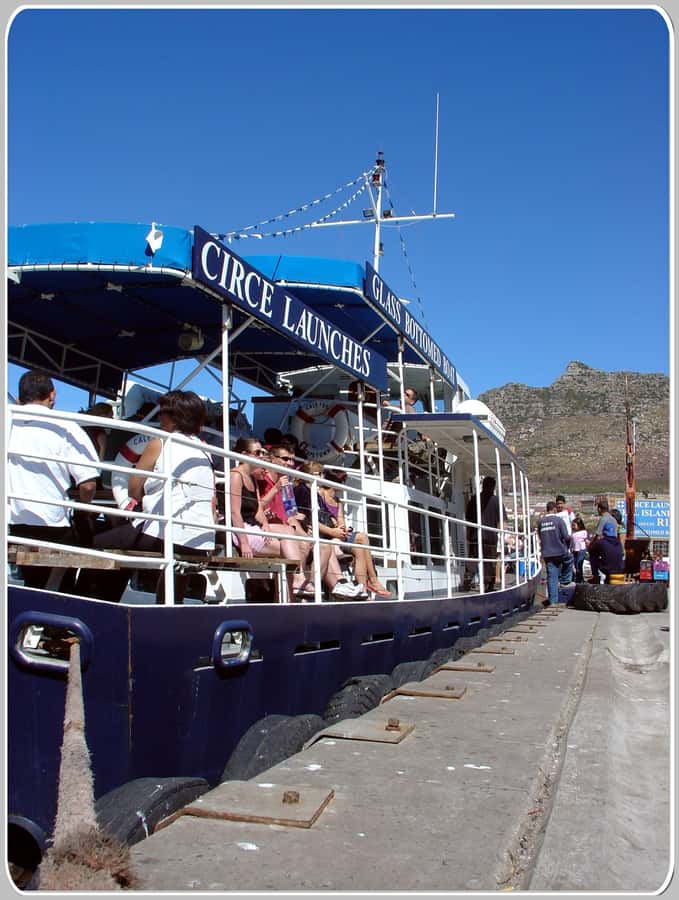 From Cape Town: Glass-Bottom Boat Seal Watching Tour - My verdict: book it for seals, not for the glass floor