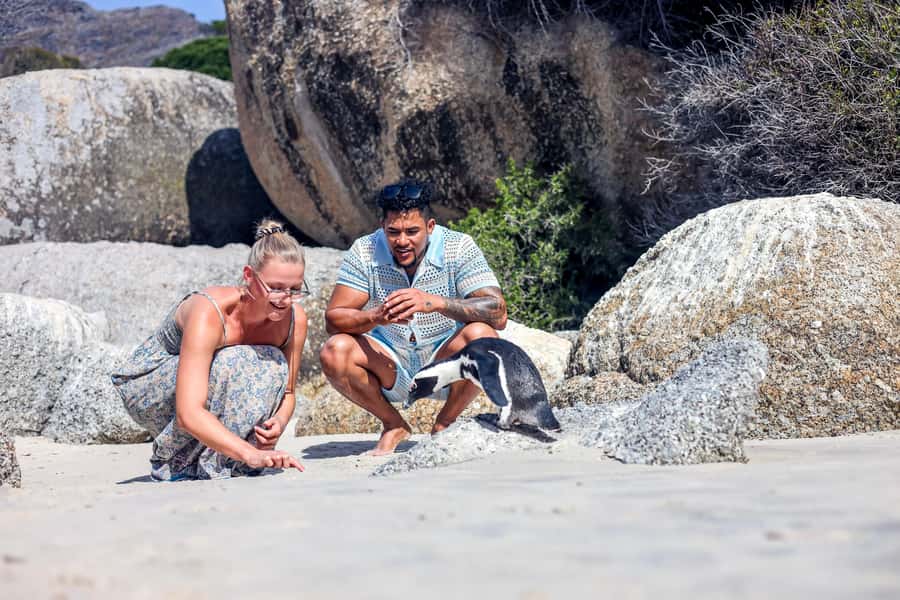From Cape Town: Half-Day Boulders Beach and Penguins Tour - Why this half-day route works
