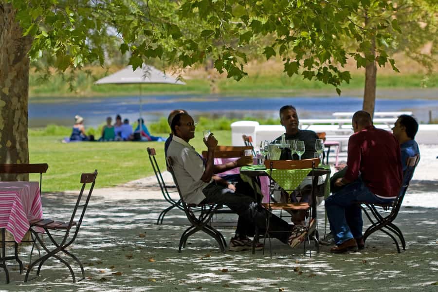From Cape Town: Half Day Winelands Tour with winetasting - Key points to know before booking