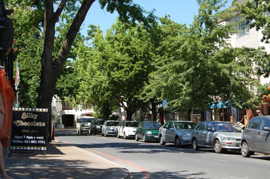 From Cape Town: Half Day Winelands Tour with winetasting - Should you book this Stellenbosch tour?
