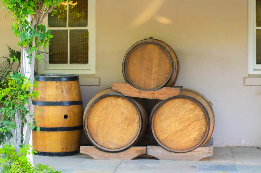 From Cape Town: Half Day Winelands Tour with winetasting - Stellenbosch, where the wine story begins