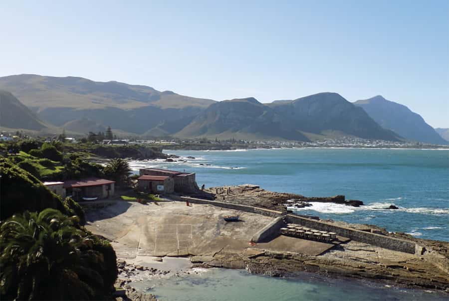 From Cape Town: Hermanus Whale Watching Full Day Tour - The urban wine tasting and Hemel-en-Aarde Valley