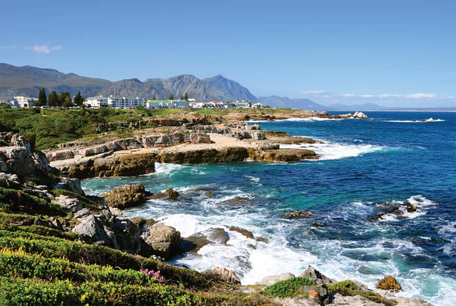From Cape Town: Hermanus Whale Watching Full Day Tour - Rotary Way and the first view of Walker Bay