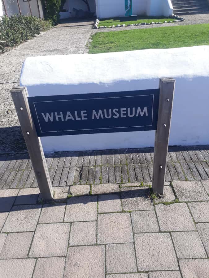 From Cape Town: Hermanus Whale Watching Tour with Transfer - Key points to know before booking
