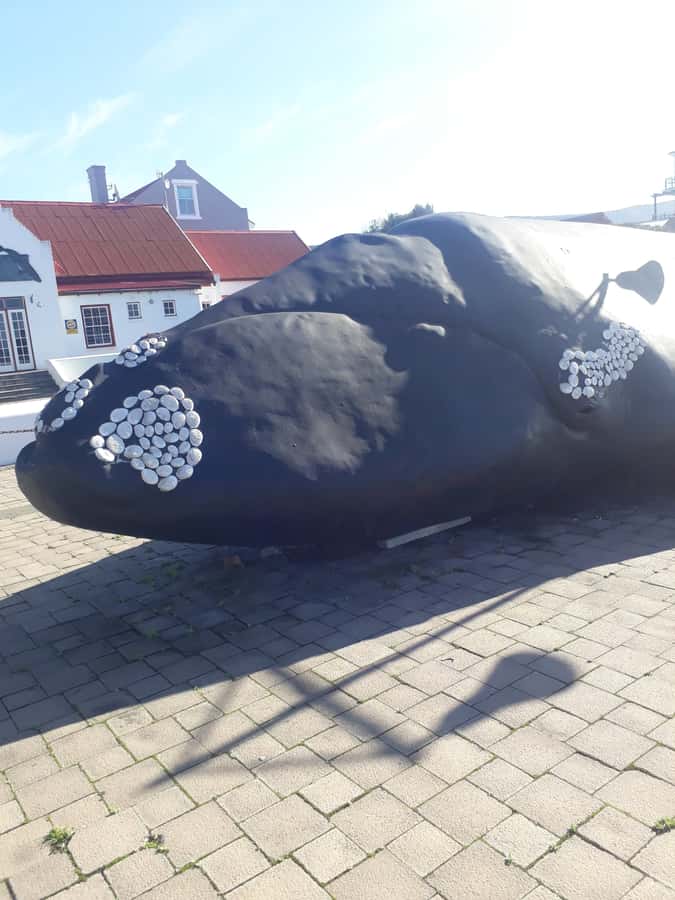 From Cape Town: Hermanus Whale Watching Tour with Transfer - The long road from Cape Town to Hermanus