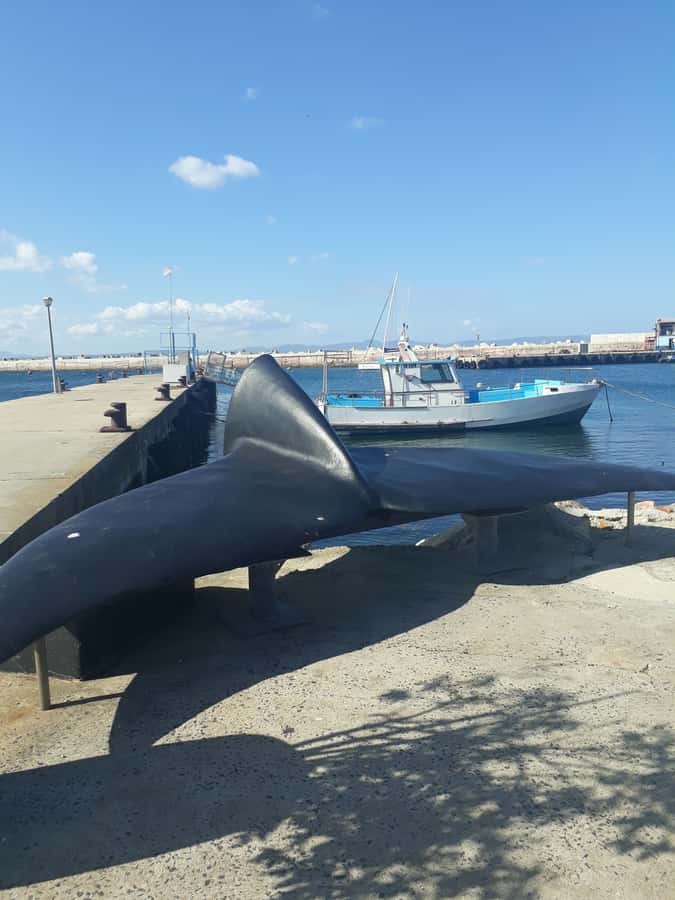 From Cape Town: Hermanus Whale Watching Tour with Transfer - Khayelitsha and the wider Cape Town story