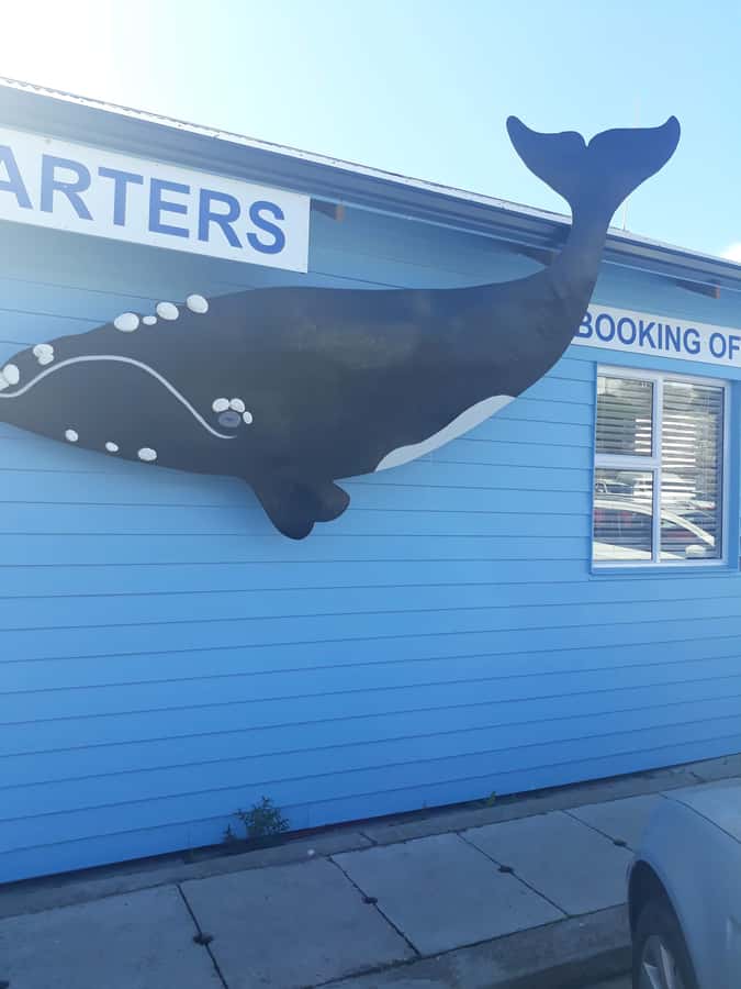 From Cape Town: Hermanus Whale Watching Tour with Transfer - Langa, Cape Town’s oldest township