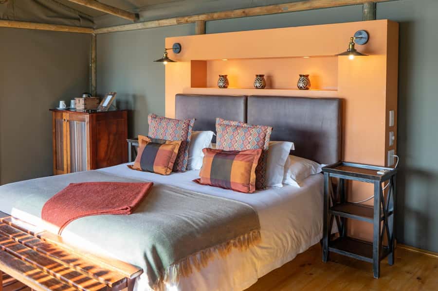 From Cape Town: South African Wildlife and Safari 2-Day Tour - Guides, group atmosphere, and practical comfort