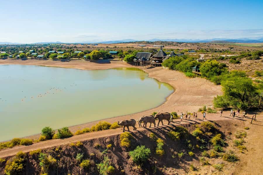 From Cape Town: South African Wildlife and Safari 2-Day Tour - The optional rescued-elephant observation